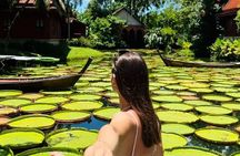Phuket Instagrammable Cafes Tour with Hotel Pickup
