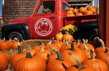 Private Portland to Cape Ann, MA Castles & Coast