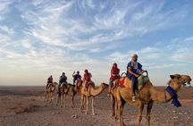 Agafay Sunset Experience: Quad, Camel & Magical Dinner Show