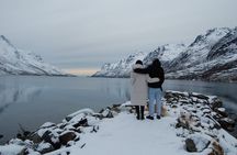 Tromsø: Arctic Fjord & Nature Tour — Small Group Experience