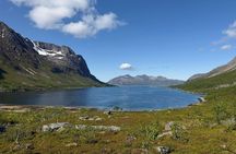 Tromsø: Arctic Fjord & Nature Tour — Small Group Experience