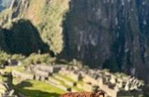 MACHU PICCHU : Private guide service 3 hours