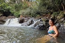 Hike for Longevity & Nature Connection