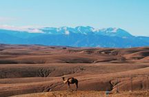 Agafay Desert Sunset Experience Camel Ride Quad and Dinner Show