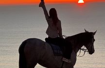 Horse Riding Adventure in Taghazout