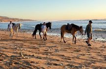 Horse Riding Adventure in Taghazout