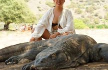 Exclusive Speed Boat Group Tour: One Day to Komodo Island