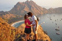 Exclusive Speed Boat Group Tour: One Day to Komodo Island