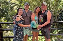 Waterfall, Rainforest & Beach Escape – A Relaxed Grenada Tour