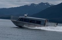 Whale Watching with a Peek at the Mendenhall Glacier