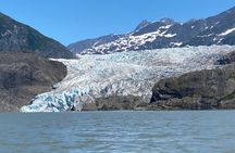 Whale Watching with a Peek at the Mendenhall Glacier