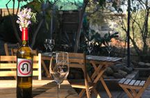 2 Day Private Weekend Tour in Valle de Guadalupe