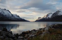 Tromsø: Fjord & Island Tour — Small Group Experience