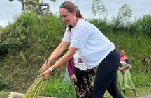 Tetebatu Private Trek Rice Fields Waterfall and Monkey Forest