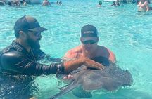 Donzi Luxury Powerboat 