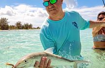 Donzi Luxury Powerboat 