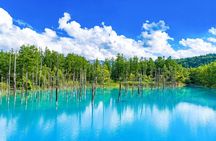 [Late Departure] Biei Best 5 Must-Visit Day Tour from Sapporo