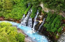 [Late Departure] Biei Best 5 Must-Visit Day Tour from Sapporo