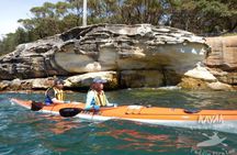 Kayak to Goat Island in Sydney Harbour with Local