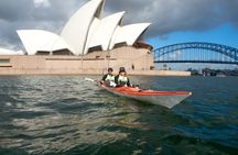 Kayak to Goat Island in Sydney Harbour with Local