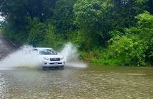 Private 4WD Rainforest Adventure in Booloumba Falls / Creek