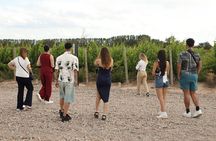 Visit Susana Balbo and Lunch at Catena Zapata Restaurant