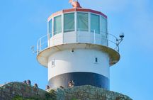 Cape Peninsula Tour Good Hope Boulders Beach