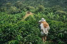 Private Tour to Jardín Town, Waterfalls, Coffee & Culture!