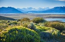 Cerro Frías Experience Horse Ride
