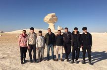 White Desert Private Safari Bahariya Camping and Hotel