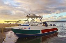 Turtle Island Private Tour 4 People with Lunch and Snorkeling