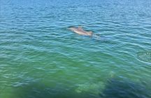 Panama City Beach Dolphin Sunset Cruise