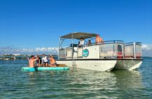 Shell Island Snorkel And Dolphin Sightseeing