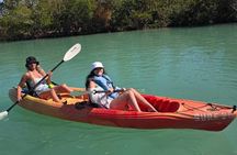Mangroves & Hidden Beach Kayak Tour