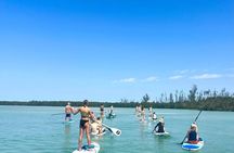 Mangroves & Hidden Beach Kayak Tour