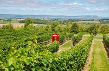 Annapolis Valley Experience Small Group Full Day Tour