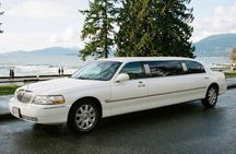 Vancouver City Sightseeing Tour by Private Limousine