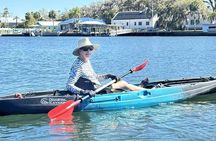 Crystal River: Three Sisters Single Kayak and Snorkeling Tour