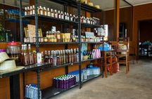 Siem Reap Half-Day Village & Local Life Bike Tour