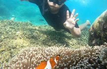 Private Batam Island Snorkeling and Canoe from Singapore