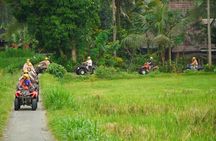 ATV Quad Bike Bali with Waterfall Elephant Cave and Lunch