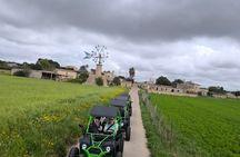 Buggy tour in Mallorca