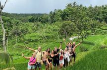 Tetebatu Private Trek Rice Fields Waterfall and Monkey Forest