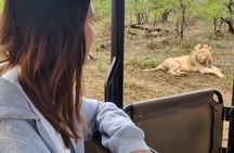 4 Day Kruger National Park All Inclusive Safari from Johannesburg