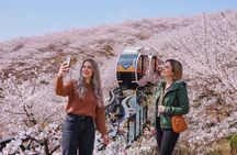 From Seoul : Hwadamsup Garden Entrance Ticket with Shuttle Bus