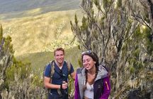 Scenic Hike on Kilimanjaro Machame Route Day Trip