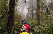 Kilimanjaro day hike tour marangu route