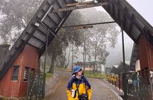 Kilimanjaro day hike tour marangu route