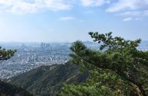 Seoul Local Hike & Korean BBQ Lunch 