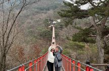 DMZ: Explore 3rd Tunnel & Nature Walk on Suspension Bridge